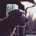 Profile Picture of Abijosue Rodriguez (@abijosue) on Pinterest