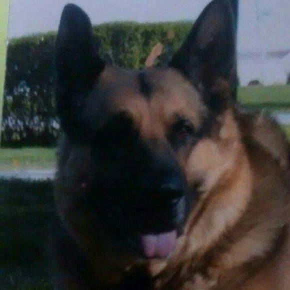 Profile Picture of Jeff Hicks (@hicks7890) on Poshmark