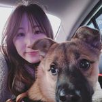 Mandy Lei - Instagram Profile Picture of Mandy Lei (@iammandylei) on Instagram