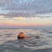 Profile Picture of Ernesto Mayorga (@mayorgaernesto04) on Pinterest