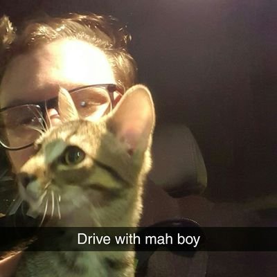 Kenneth Cordell - Twitter Profile Picture of Kenneth Cordell (@OwlLeNoir) on Twitter