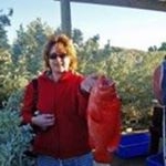 Profile Picture of Anne Simson (@annedsimson) on Instagram