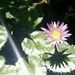 Profile Picture of Eric Wilhelm (@ericleewilhelm) on Pinterest