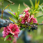 Profile Picture of L F (@home_away from home) on Flickr