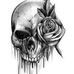 Profile Picture of Roy Swann (@roy.swann.165) on Facebook