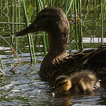 Profile Picture of Kayandrek (@kayandrek) on Flickr