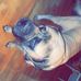 Profile Picture of Braden Mullenax (@braden.mullenax.3) on Facebook