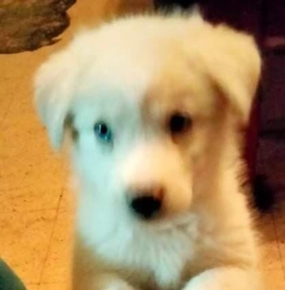 Profile Picture of Roy Bartholomew (@bartholomewroy2) on Poshmark