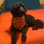 Paula Brunk - Facebook Profile Picture of Paula Brunk (@paula.brunk) on Facebook