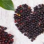 Profile Picture of Jason's Elderberry Syrup (@jasonselderberrysyrup) on Instagram