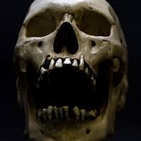 Profile Picture of MarkBusa (@MarkBusa87) on Twitter