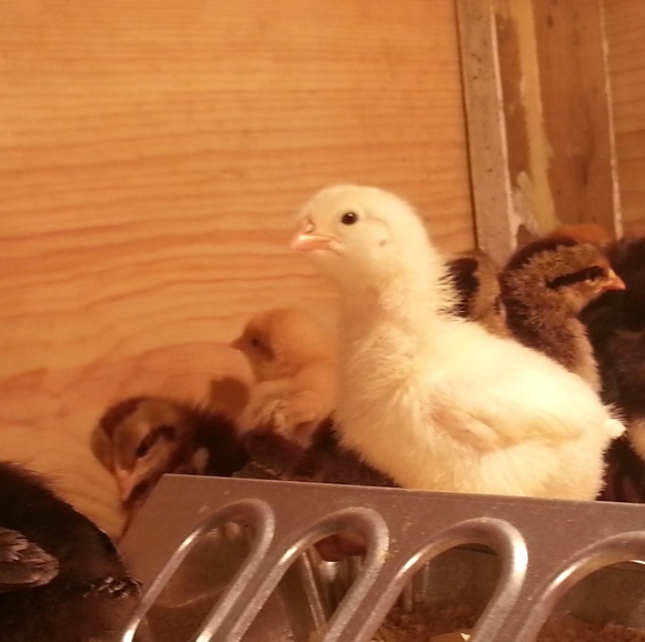 Profile Picture of Eileen Bradley (@ebradley627) on Poshmark