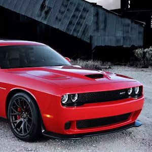 Profile Picture of Diego Adolfo Zambrano Apodaca (@flaco_srt) on Tiktok