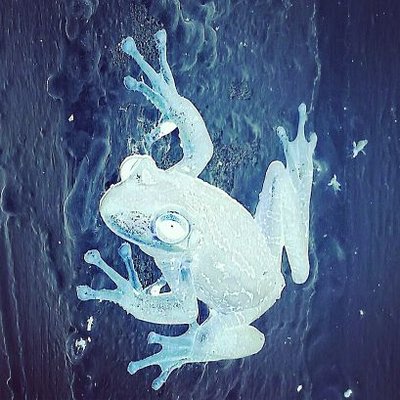 Profile Picture of Cory Godwin (@godwin_cory) on Twitter