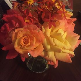 Profile Picture of Martha Boyd (@martyboyd) on Pinterest