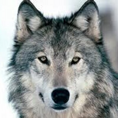 Profile Picture of Keith Bunting (@keithie86) on Twitter