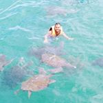 Profile Picture of Bonifaz Carlos (@carlos.bonifaz1) on Instagram