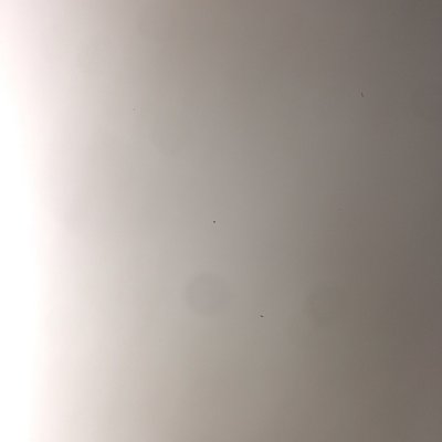 Profile Picture of John Rew (@fryguypulls69) on Twitter