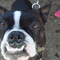 Profile Picture of Stephanie Chadwick (@stephanie-chadwick-7) on Quora