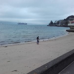 Profile Picture of Mike Vanbelle (@BelgiumKiwi) on Twitter