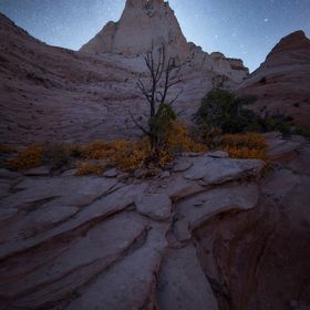 Profile Picture of Derek Sturman (@dereksturman) on Pinterest