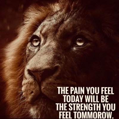 Profile Picture of Lucious Williams’s (@LuciousWilliam6) on Twitter