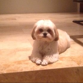 Profile Picture of Stella Restrepo (@pollito291) on Pinterest