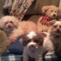 Denise Barry Hauptman - Quora Profile Picture of Denise Barry Hauptman (@denise-barry-hauptman) on Quora