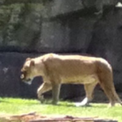 Profile Picture of James Paulson (@gyhjams) on Twitter