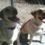 Profile Picture of Howard Waldron (@howard.waldron.1) on Facebook