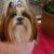 Profile Picture of Silvia Arroyo Coll (@arroyocoll) on Pinterest