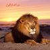 Profile Picture of Yousef Hamad (@yousef.hamad.9041) on Facebook