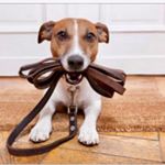 Profile Picture of Ambrogio Di Victoria Colonna (@ambrogiodivictoriacolonna) on Instagram