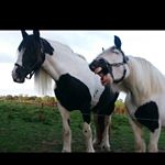Profile Picture of Bevin-Kara Harkness 😈😇 (@bevinatorbae) on Instagram