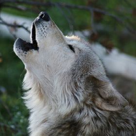 Profile Picture of james arnold (@jadabadseed9) on Pinterest