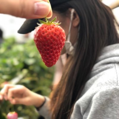 もえか - Twitter Profile Picture of もえか (@mokas2p3q) on Twitter