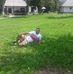 Profile Picture of Daniel Laptuca (@daniel.laptuca.5) on Facebook