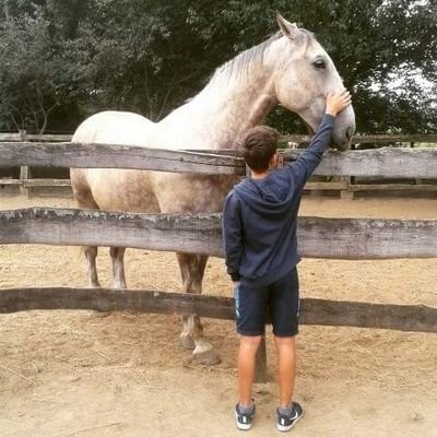 Profile Picture of David Mezo (@DavidMezo1187) on Twitter