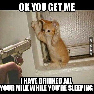 Michael Gordan - Twitter Profile Picture of Michael Gordan (@armedmikee) on Twitter