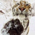 Profile Picture of Brian Hartner (@myasboy1) on Instagram