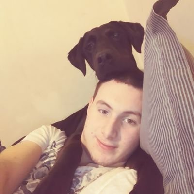 Profile Picture of David Burd (@Davidburd8) on Twitter