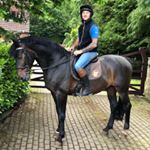 Profile Picture of Scott Manson Dip.WCF (@scottmansonfarrier) on Instagram