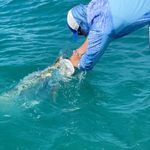 Profile Picture of Capt. Chris Slattery (@reelintenseinshorecharters) on Instagram