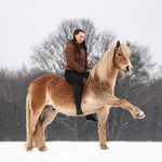 Profile Picture of Julia Beckmann (@julia.beckmann) on Instagram