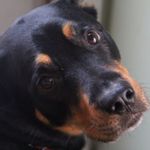 Profile Picture of Kathy Riggs (@kathyriggs379) on Instagram