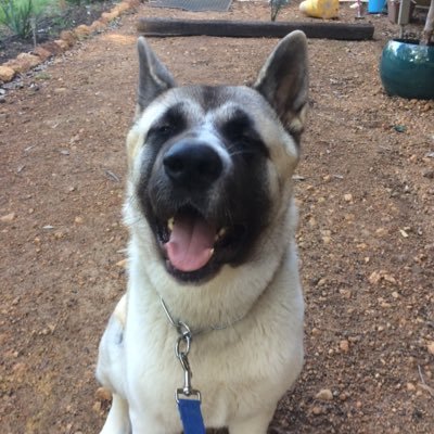 Profile Picture of Alex Finnerty (@alex_finnerty) on Twitter