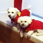 Profile Picture of Sherry Frye (@mrs_frye) on Instagram