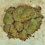 Leo Carreño - Instagram Profile Picture of Leo Carreño (@fetishnoise) on Instagram