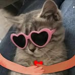 Profile Picture of Lola Beaty (@Lola-Beaty) on Facebook