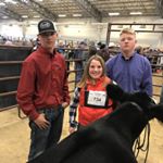 Profile Picture of Kevin McKinzie (@kmckinzcattle) on Instagram